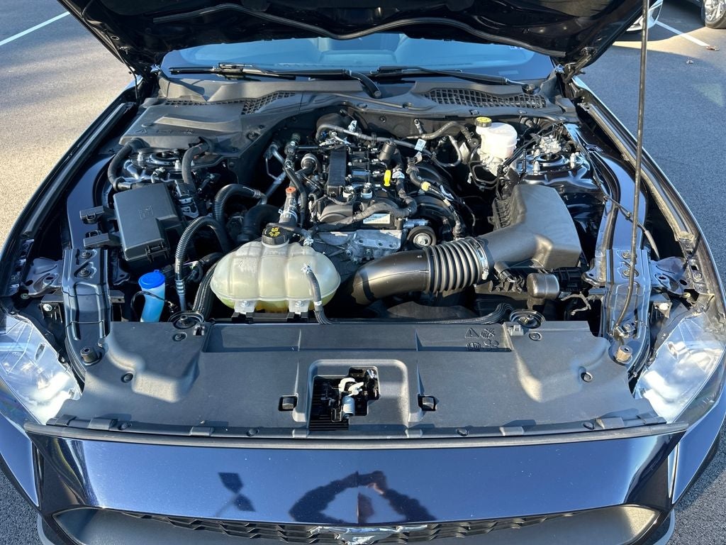 2021 Ford Mustang EcoBoost