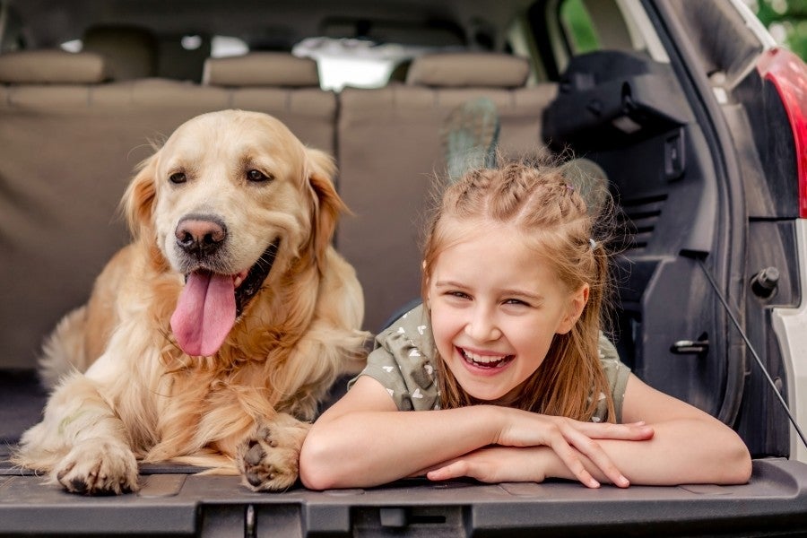 A smiling girl and a Golden Retriever dog are lying in the back of a car